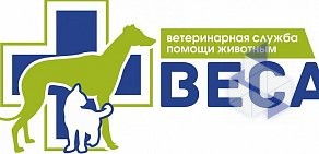 Ветеринарная клиника Веса в Подольске