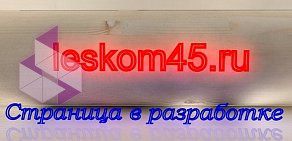 Торговая компания Леском-45