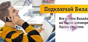 Оператор связи и интернет-провайдер Билайн на улице Пушкина