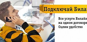 Интернет-провайдер Билайн в Заволжском районе