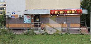 Магазин разливного пива Ссср на улице Ленина в Рузаевке