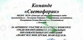 Детский сад № 230 Теремок, общеразвивающего вида с приоритетным осуществлением деятельности по художественно-эстетическому направлению развития воспитанников