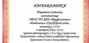 Центр дополнительного образования детей Профессионал на Садовой улице