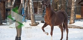 Школа верховой езды Династия