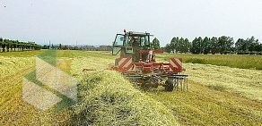 Группа компаний Solar Fields