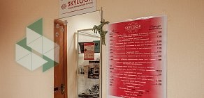 Студия наращивания ресниц SKYLOOK