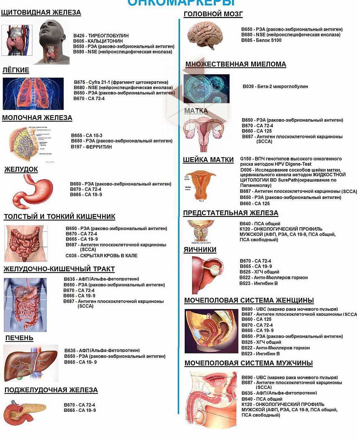 Для чего нужны онкомаркеры. Онкомаркеры типы. Онкомаркеры для женщин щитовидной железы. Онкомаркеры таблица.