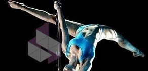 Студия танцев Pole Dance Style на метро Балтийская