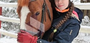 Оздоровительный конный центр Солнечный остров на проспекте Грибоедова во Всеволожске
