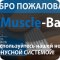 Магазин спортивного питания Muscle Bar в Советском районе