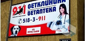 Ветеринарная клиника 911 на проспекте Ибрагимова, 83а