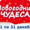 Бегемот на Уральской улице, 126