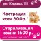 Ветеринарная клиника 9 жизней на улице Кирова, 111