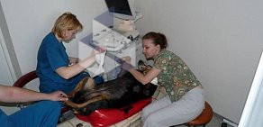 Ветеринарная клиника Инновет в Выхино-Жулебино