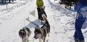 Центр Пмпс