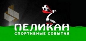Сеть букмекерских клубов Пеликан в Пушкино