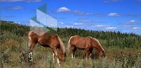 База отдыха Домик в деревне