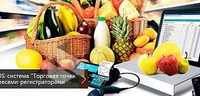 Торгово-сервисная компания Скейл Мастер