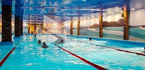 Фитнес-клуб Delphine swim в Королеве