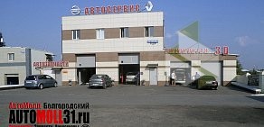 Сервисный центр АвтоМолл Белгородский на улице Чичерина
