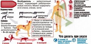 Новолакская районная больница № 1