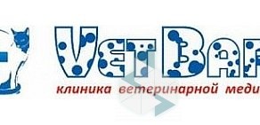 Клиника ветеринарной медицины ВетБарс на Солнечной улице в Зеленодольске