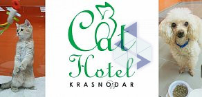 Гостиница для животных Cat Hotel Krasnodar на улице Евгении Жигуленко