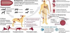 Клуб любителей животных Ангелика на 2-ом Муринском проспекте