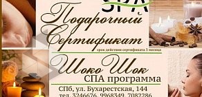 СПА-салон на Бухарестской улице, 144