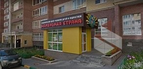 Академия ментальной арифметики AMAKids на улице Родионова