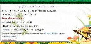 Информационно-консультационный центр СибЗнание на улице Сурикова