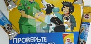 Ветеринарная клиника РЕКС на улице Серова