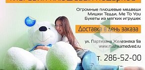 Магазин плюшевых медведей на улице Партизана Железняка, 9а
