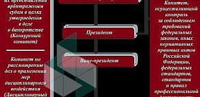 Саморегулируемая организация независимых арбитражных управляющих Дело