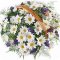 Доставка цветов Edelweiss