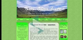 Web-студия Host Media