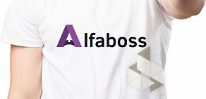 Интернет-агенство Alfaboss Digital на улице Гоголя