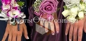 Сеть цветочных салонов ЦветыОптРозница на метро Приморская