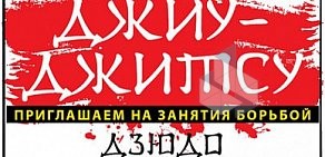 Федерация Джиу-Джитсу ивановская областная спортивно-общественная организация на Ташкентской улице