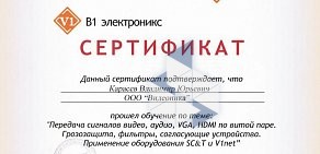 Торгово-монтажная компания Видеоника на Оловозаводской улице