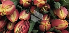 Цветочный магазин Flora Market на улице Грибоедова