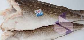 Магазин вкусных морепродуктов Рыба51