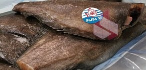 Магазин вкусных морепродуктов Рыба51