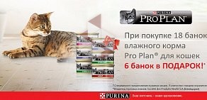 Сеть зоомагазинов Филя на Гаванской улице