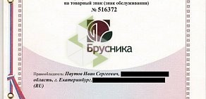 Компания по продаже земельных участков и малоэтажных домов Брусника