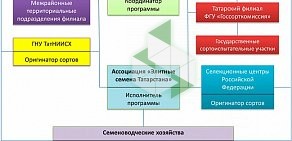 Ассоциация по производству семян зерновых культур Элитные семена Татарстана