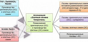 Ассоциация по производству семян зерновых культур Элитные семена Татарстана