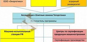 Ассоциация по производству семян зерновых культур Элитные семена Татарстана