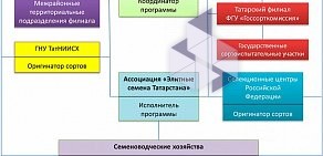 Ассоциация по производству семян зерновых культур Элитные семена Татарстана