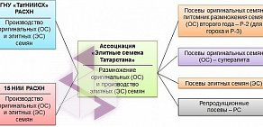 Ассоциация по производству семян зерновых культур Элитные семена Татарстана